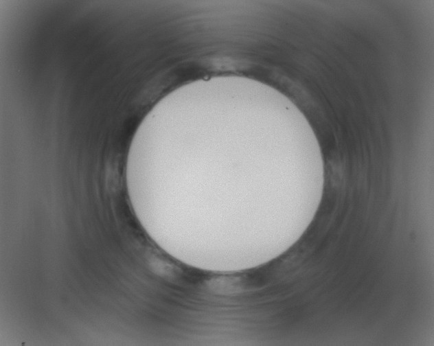 X0000081380422200702090017