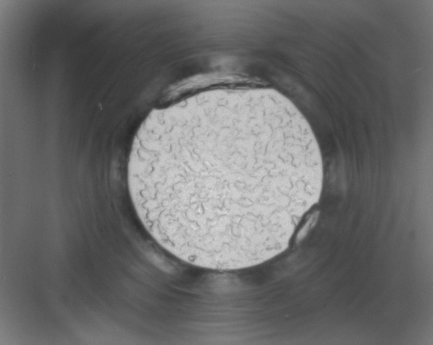 X0000081380424200702090017