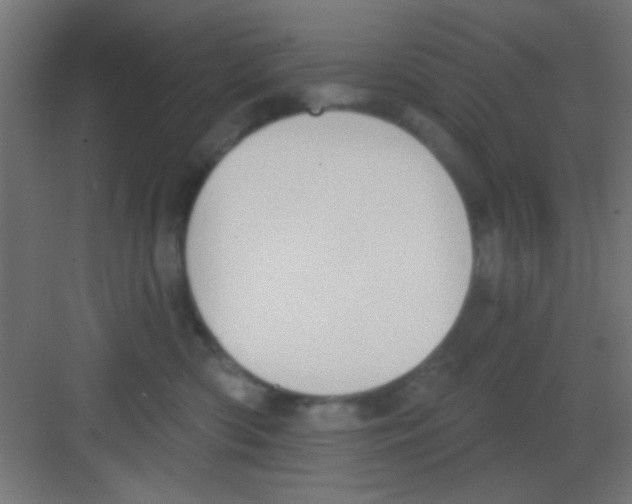 X0000081380426200702090017