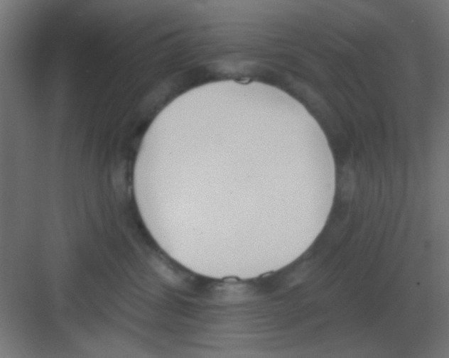 X0000081380428200702090017