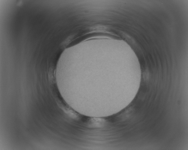 X0000081380429200702090017