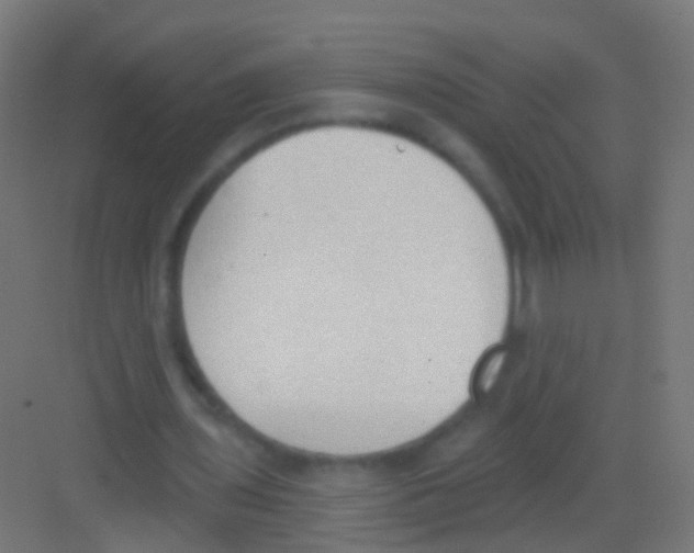 X0000081380435200702090016
