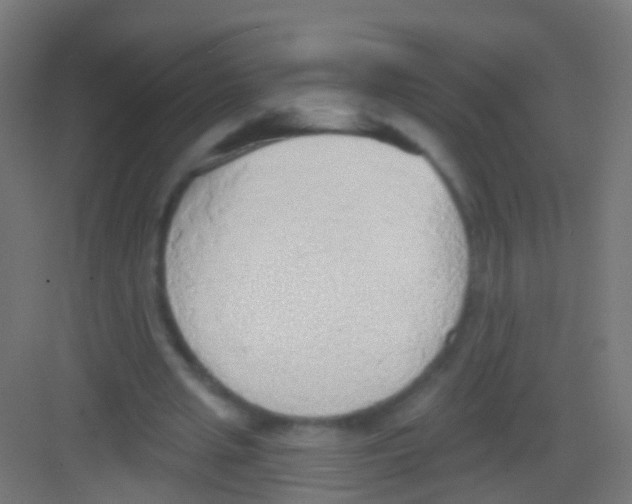 X0000081380437200702090016