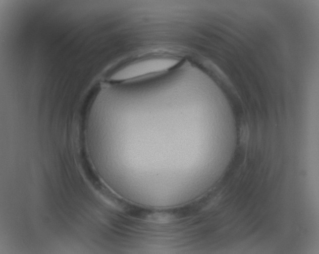 X0000081380444200702090016