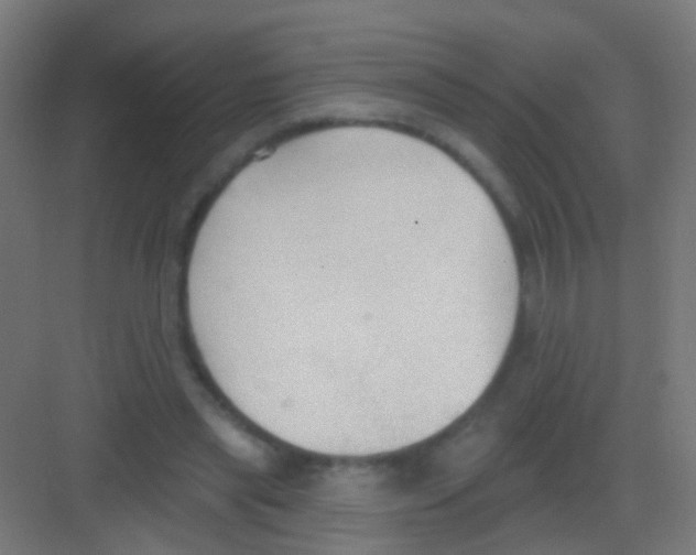 X0000081380445200702090016