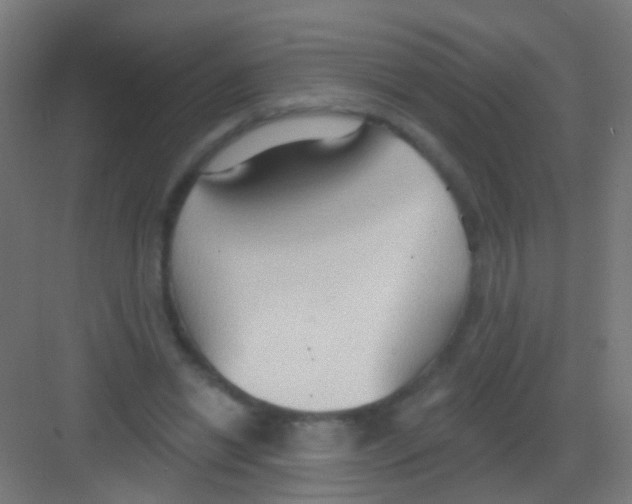 X0000081380446200702090016