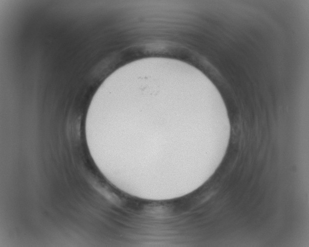 X0000081380454200702090016