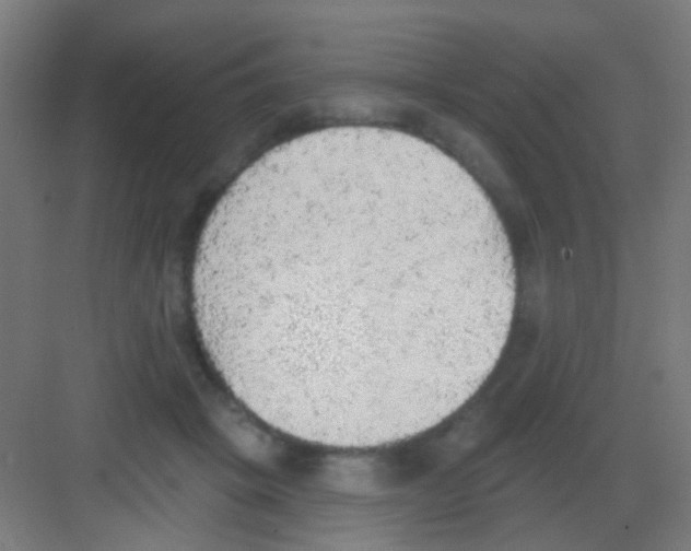 X0000081380457200702090016