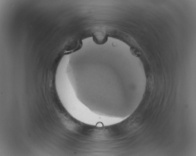X0000081380458200702090016