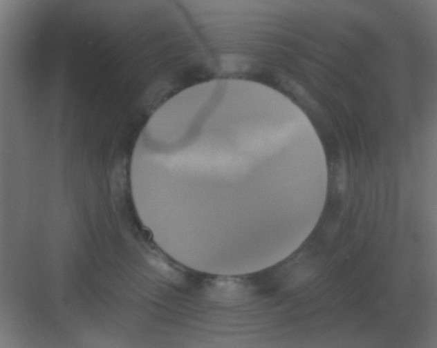 X0000081380475200702090017