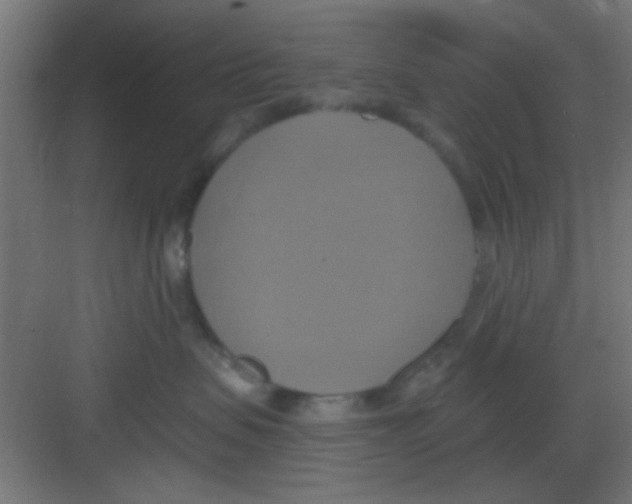 X0000081380479200702090017