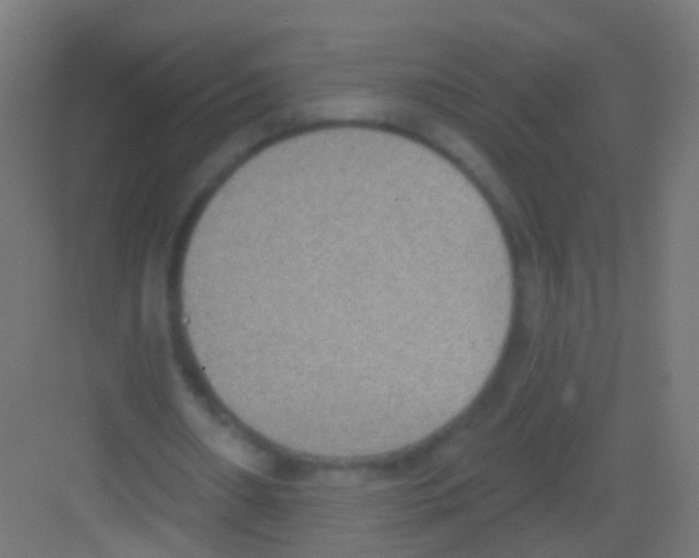 X0000081380482200702090016