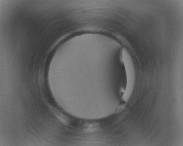 X0000081380484200702090016