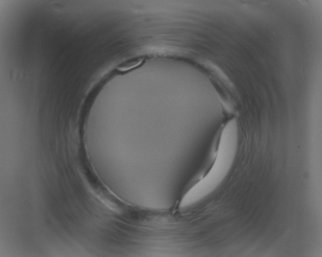 X0000081380488200702090016