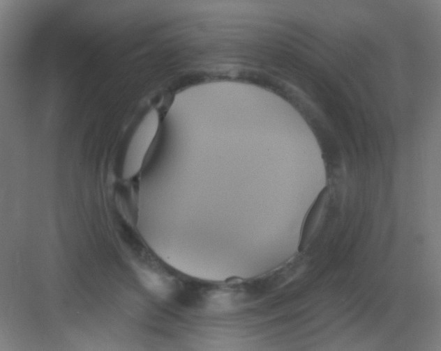 X0000081380504200702090015