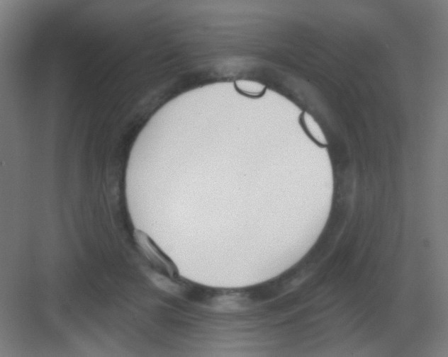 X0000081380505200702090015