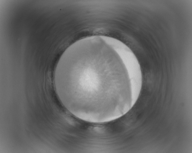 X0000081380506200702090015