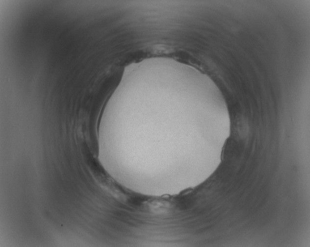 X0000081380512200702090015