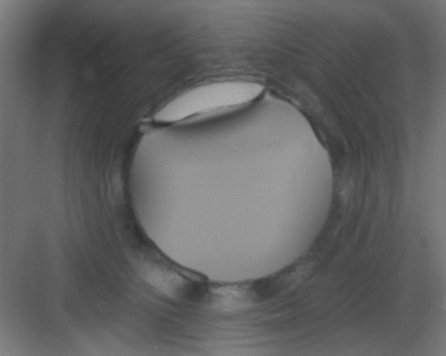 X0000081380516200702090015
