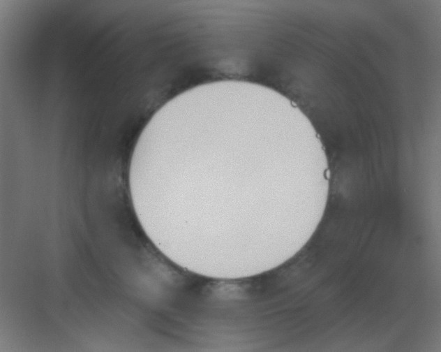 X0000081380518200702090015