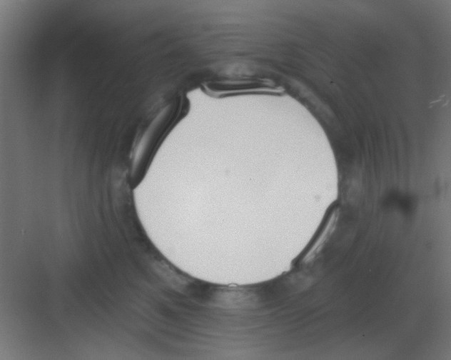 X0000081380521200702090015