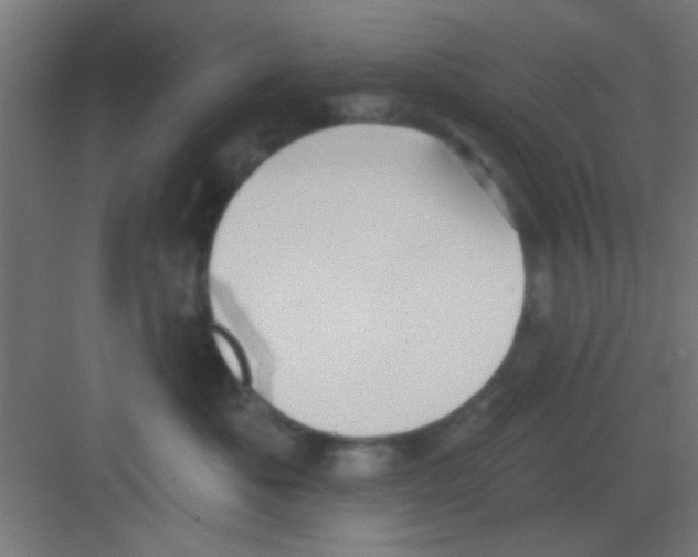 X0000081380525200702090015