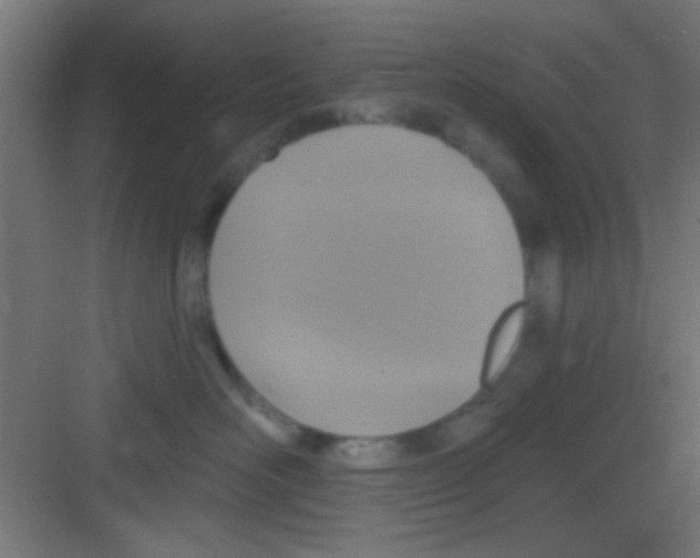 X0000081380526200702090015