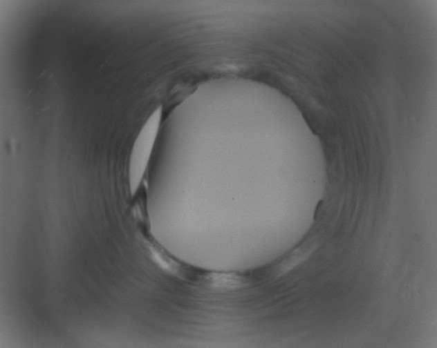 X0000081380528200702090015