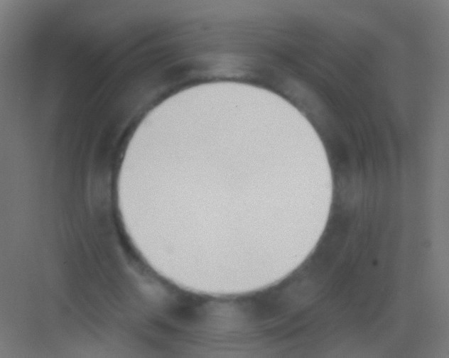 X0000081380534200702090014