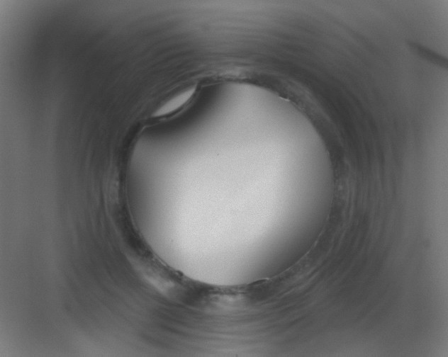 X0000081380552200702090015