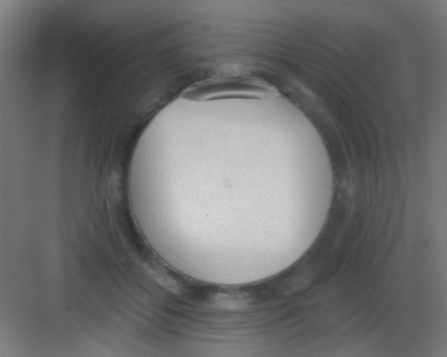 X0000081380556200702090015