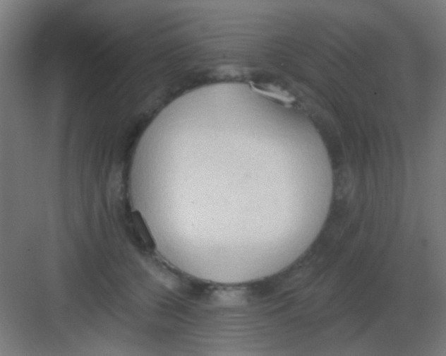 X0000081380560200702090015