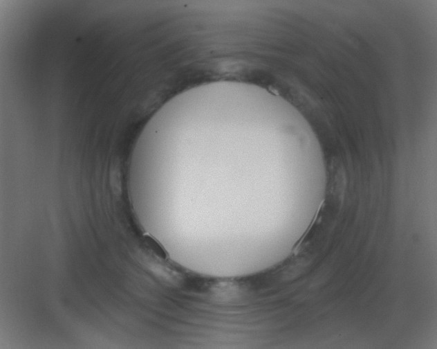 X0000081380562200702090015