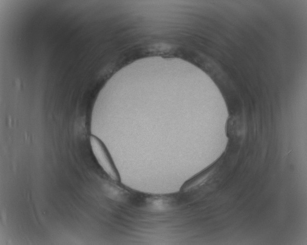 X0000081380564200702090015