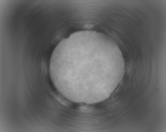 X0000081380568200702090015