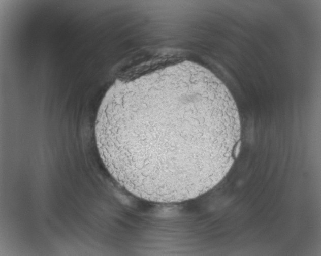 X0000081380569200702090015