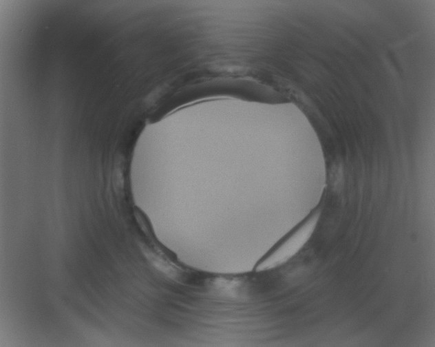 X0000081380570200702090015
