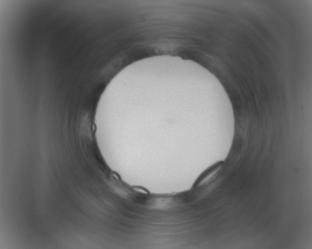 X0000081380575200702090015