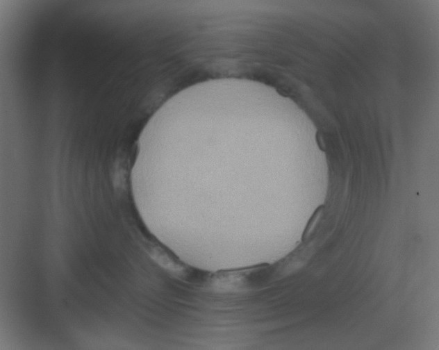 X0000081380576200702090015