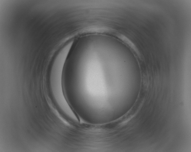X0000081380581200702090014