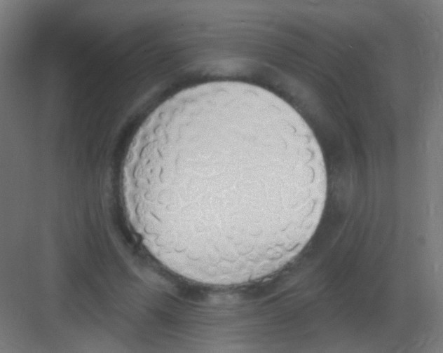 X0000081380591200702090014