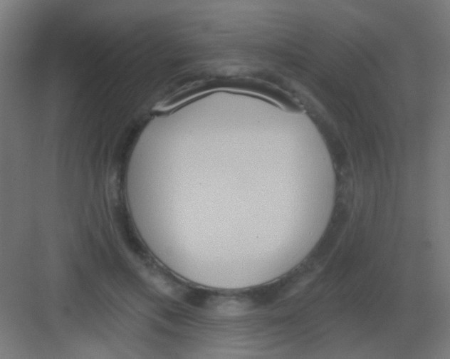 X0000081380597200702090014