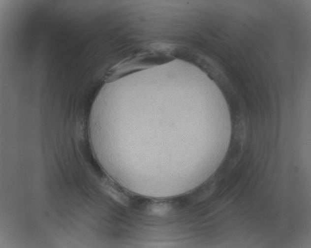 X0000081380604200702090014