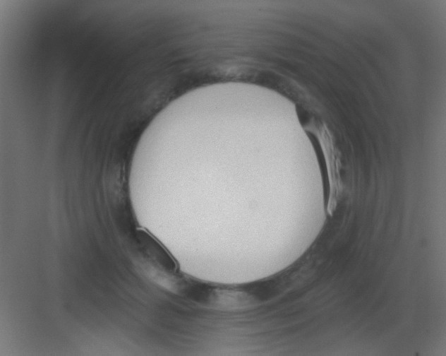 X0000081380605200702090014