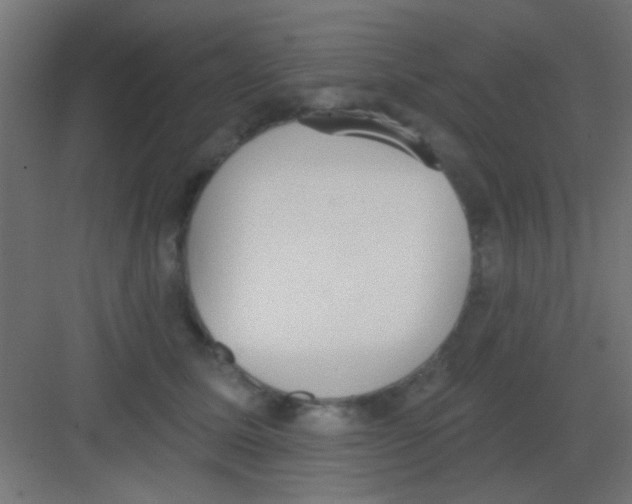 X0000081380611200702090014