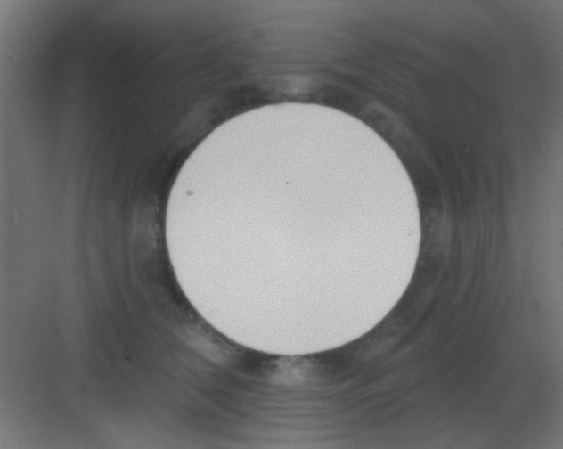 X0000081380612200702090014