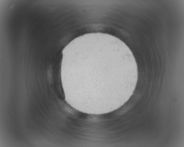 X0000081380624200702090013