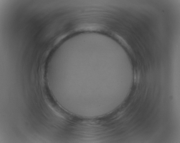 X0000081380627200702090013