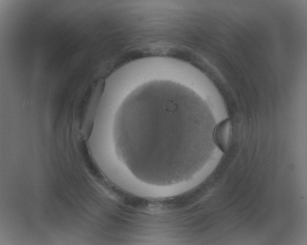 X0000081380641200702090013