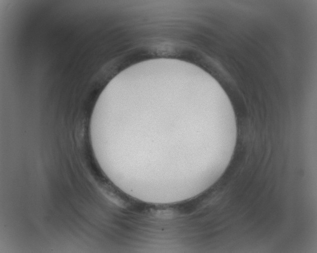 X0000081380645200702090013